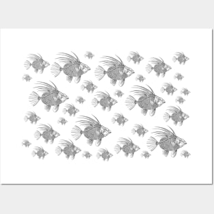 School of Grey Zeus Faber Linocut Fish Posters and Art